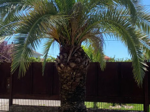 Гостевой Дом Гостевые Домики Гудаута