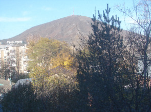 Квартира 1 комнатная