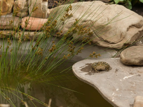 Отель Гермес