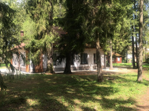 Отель Ruza Forest