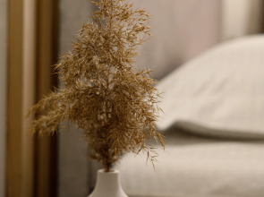 Мини-отель 4 комнаты