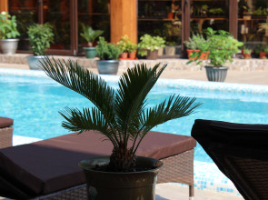 Гостевой дом Старая Мацеста