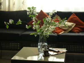 Хостел Три Матрёшки