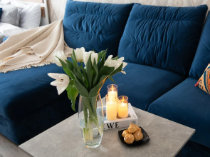 Апартаменты в центре с видом на город