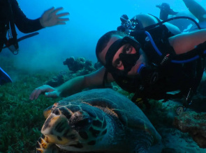 Гостевой Дом Neptun Dive Resort