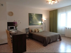 Uyutnaya Studiya Na Lermontova 81 Flat
