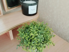 Квартира Уютная квартира в самом центре города