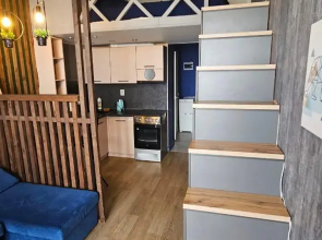 Studiya Okolo Parka Im. Kirova Flat