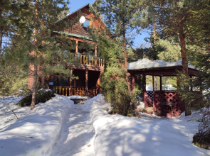 База отдыха Плещеево