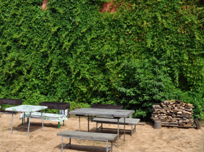 Отель Чайка