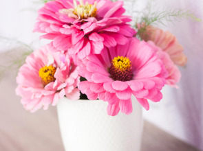 Апартаменты KenigVoyage в Тихом Месте Недалеко от Центра