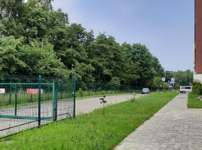 Квартира в райском уголке Балтики