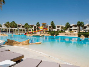 Amphoras Aqua Adults Friendly