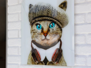 Апартаменты Люкс у Крестовского острова