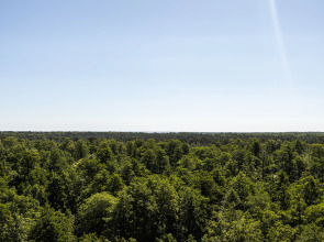 Апартаменты Созвездие