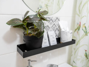 Квартира Пушкинский 1