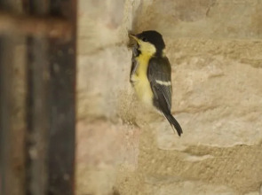 San Faustino Resort Hotel