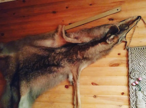 Гостевой дом Агроусадьба у Сан Саныча