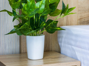 Апартаменты Студия Natalie Apartments Пулковское шоссе 14с6