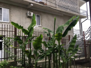Гостевой дом Банановый рай
