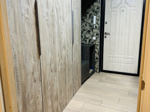 Квартира Шунгит