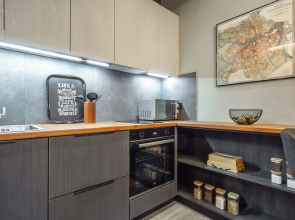 Апартаменты Queenstay Питер лофт