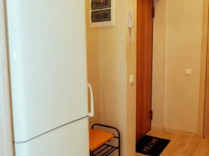 Апартаменты на Революции 48а