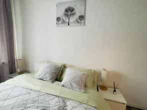 Квартира Трешка в Путилково