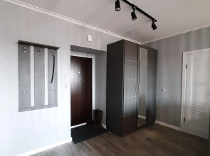 Апартаменты Рыжий Кот Дружный