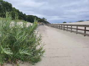 Апартаменты Sunny day 2