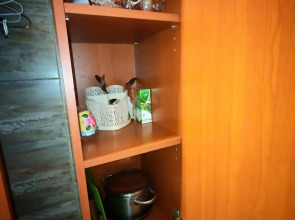 Апартаменты У Старокалинкинского моста