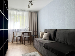 Квартира Большая квартира в центре Vintage