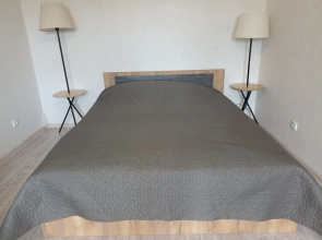 Odnokomnatnaya (366) Flat