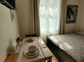 Квартира - студия в иcтoричeскoм цeнтре Санкт-Пeтеpбургa (4)