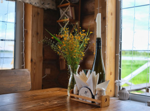 Гостевой дом Дикий Гусь