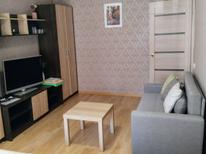 Квартира  в центре Новомосковска