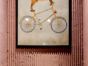 Апартаменты Scarlet