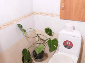 Апартаменты по Карману с Самостоятельным Заселением.