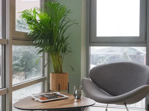 Апартаменты Pavlov Оранжевая