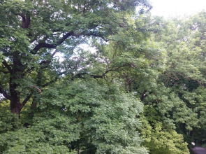 Отель Динамо