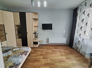 Апартаменты Уютные Однокомнатные в Заводском районе