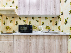 Апартаменты возле ДонЭкспоцентра и Аквапарка в ЖК Сердце Ростова 17 этаж