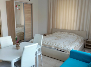 Апартаменты на Торфяной