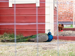 Апарт-Отель Кунак