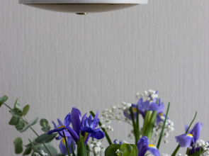 Апартаменты Merino Home Violet