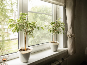 Квартира Подходящая двушка в центре