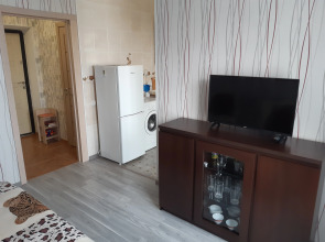 Квартира Золотой жук