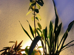 Апартаменты Scandic Romantic st.