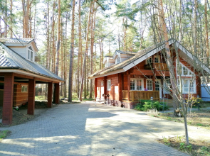 Kottedzh v Vyalkah Private House