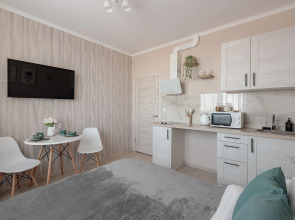 Квартира Уютная студия 25 кв.